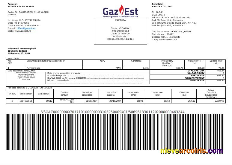 Editable Romania Gaz Est Business Utility Bill Word And PDF Template