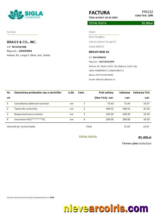 Realistic Romania SIGLA COMPANIEI Business Utility Bill Template In Word And PDF Formats