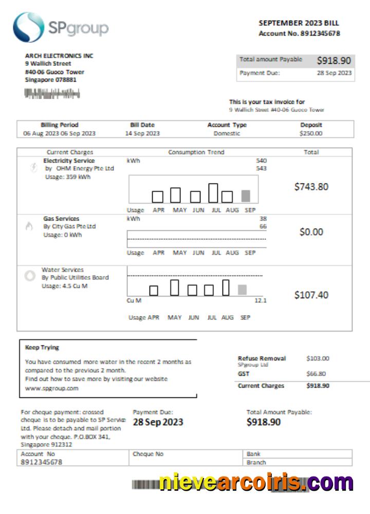 SP Group Utility Business Bill SCR, Page 1 Photolook