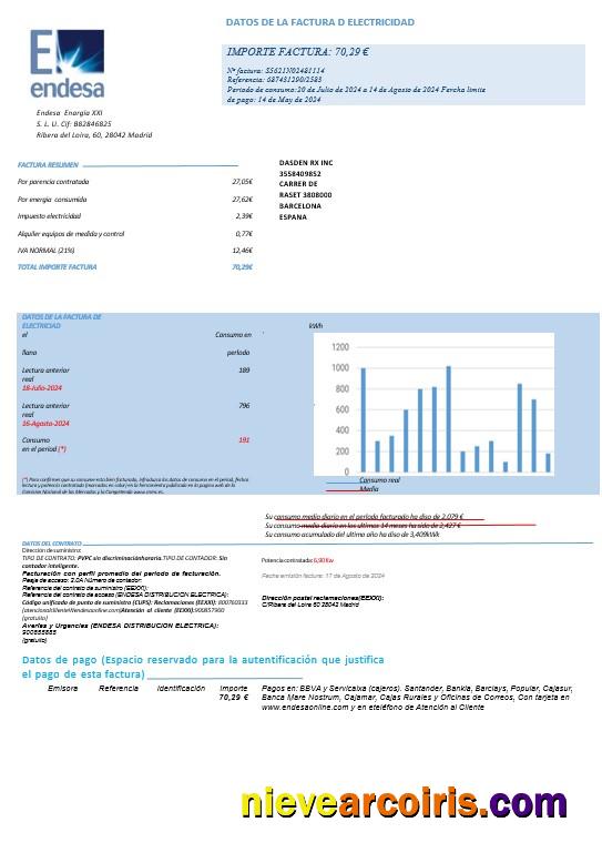 Premium SPAIN ENDESA Business Utility Bill Word And PDF Template Pages1
