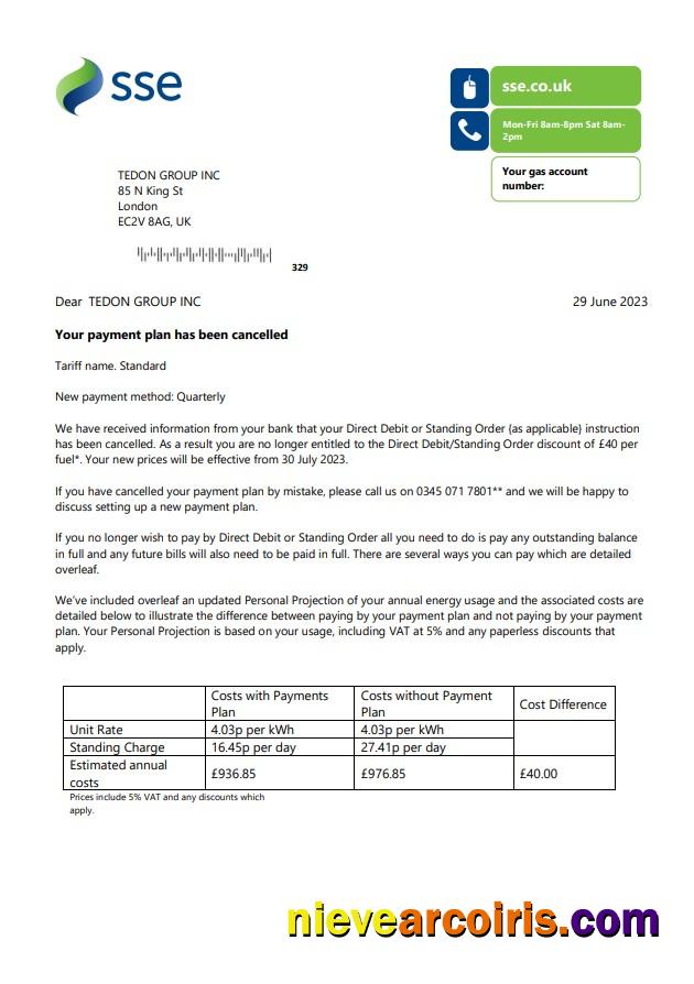 Professional SSE Energy Utility Business Bill, Word And PDF Template, Version 1