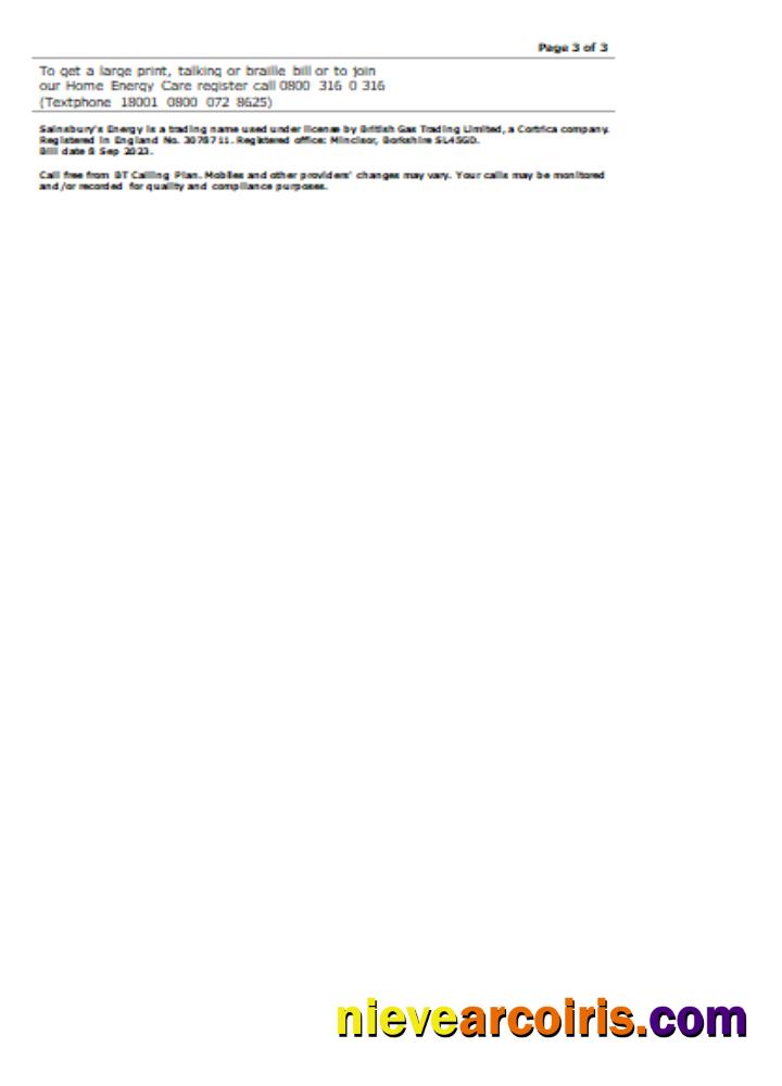 Sainsbury Energy (British Gas) Business Utility Bill, Page 3. SCR Preview