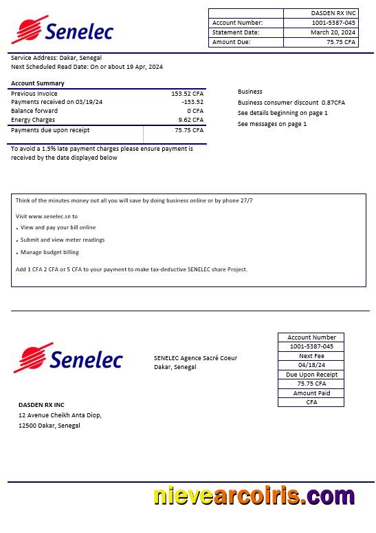 Realistic Senegal Senelec Agence Sacré Coeur Company Electricity Business Utility Bill Template In Word And PDF Formats