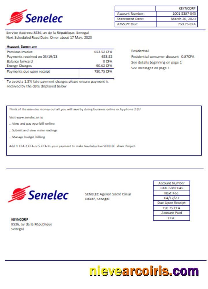 Senelec Agence Sacré Coeur Company Electricity Utility Business Bill, SCR Preview