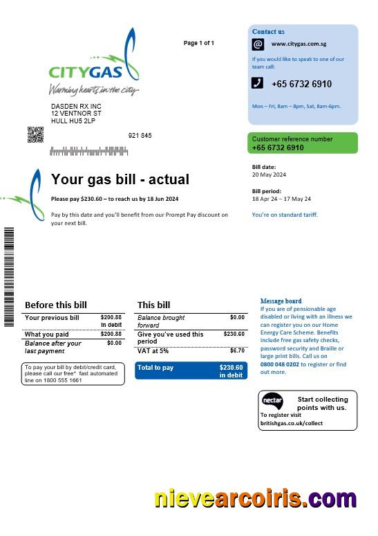 Realistic Singapore City Gas Business Utility Bill Template, Fully Editable In PSD Formats