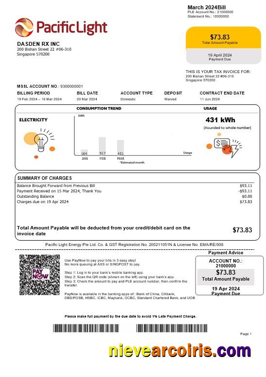 Premium Singapore Pacific Light Electricity Business Utility Bill Template In Word And PDF Formats