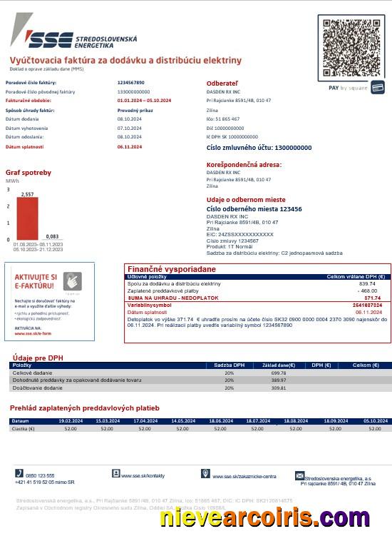 Realistic Slovakia Stredoslovenka Energetika Business Utility Bill Template In Word And PDF Formats