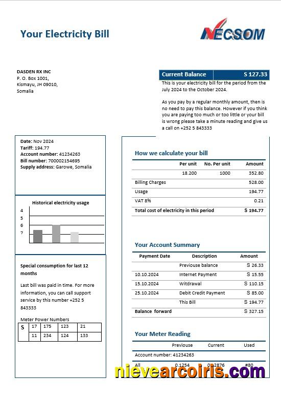 Realistic Somalia NESCOM Company Electricity Business Utility Bill Template In Word And PDF Formats