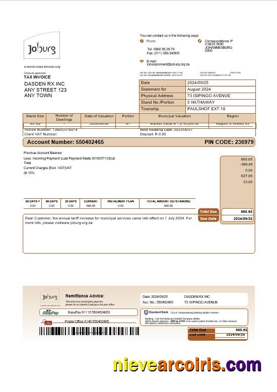 Premium South Africa Joburg Business Utility Bill Word And PDF Template Pages