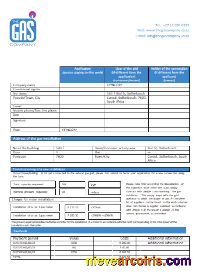 South Africa The GAS Company Gas Bill, SCR Sample