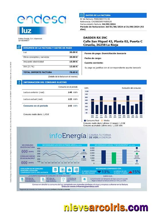 Realistic Spain Endesa Luz Business Utility Bill Template In Word And PDF Formats