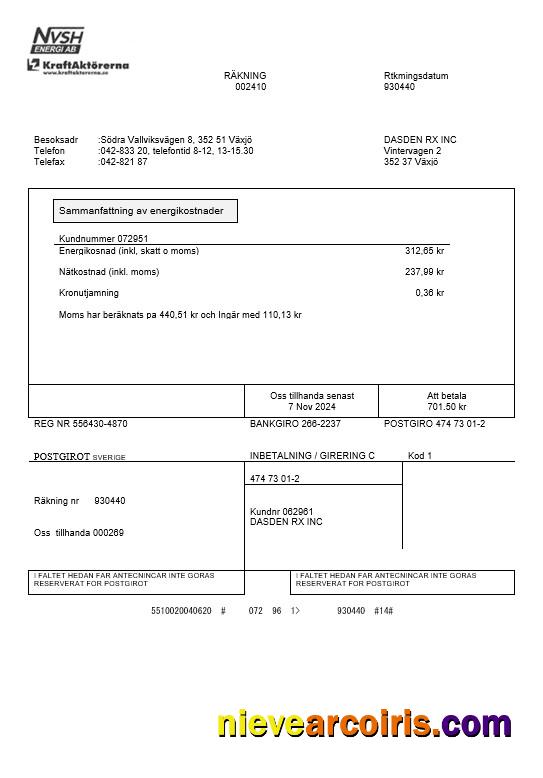 Realistic Sweden NVSH Energi Business Utility Bill Template In Word And PDF Formats
