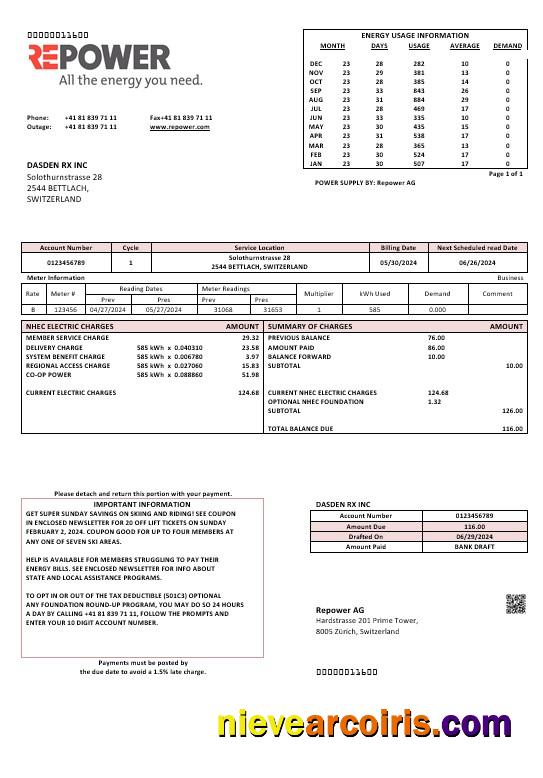 Editable Switzerland Repower AG Business Utility Bill Template, Fully Editable In Word And PDF Formats