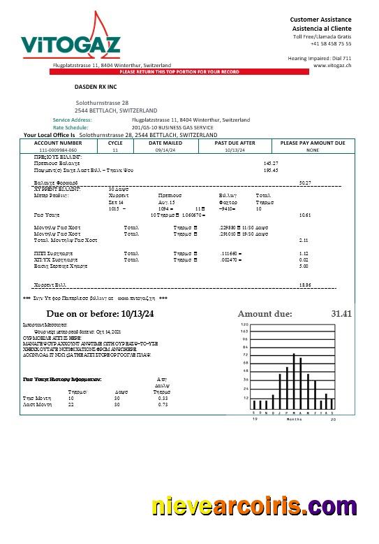 Editable Switzerland Vitogaz Switzerland AG Business Utility Bill Template, Fully Editable In Word And PDF Formats