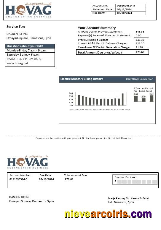 Realistic Syria HOVAG Company Electricity Business Utility Bill Template In Word And PDF Formats