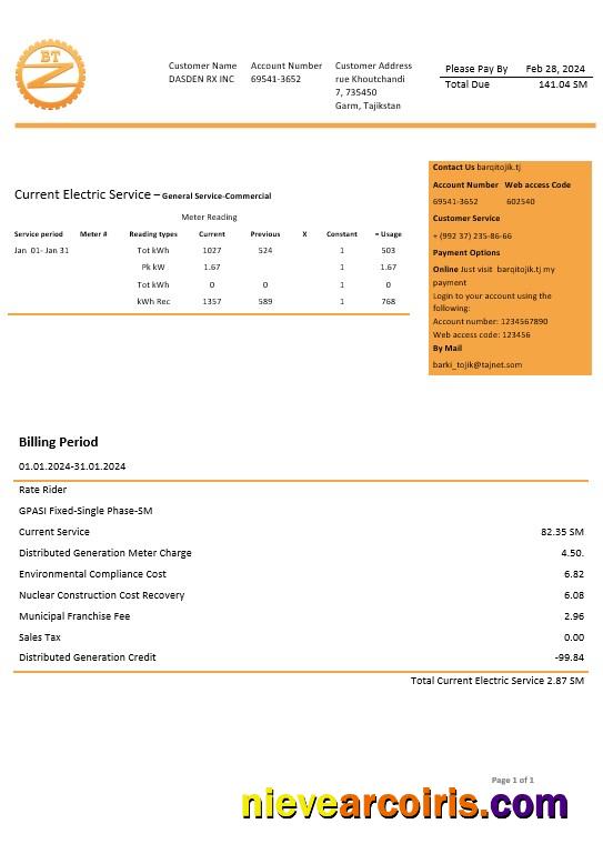 Professional Tajikistan Barqi Tojik Company Electricity Business Utility Bill Template In Word And PDF Formats