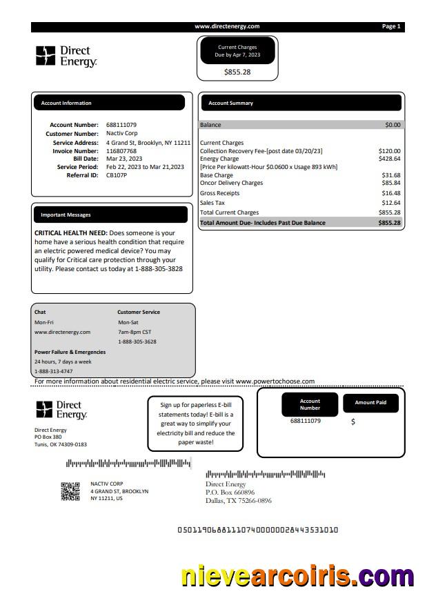 Realistic Texas Direct Energy Utility Business Bill, Word And PDF Template
