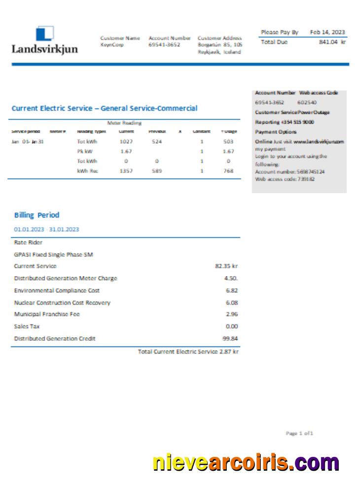 The National Power Company Of Iceland Landsvirkjun Electricity Utility Business Bill, SCR Photolook