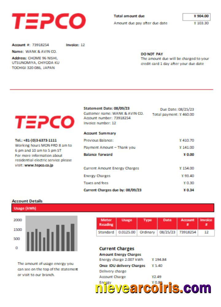 Tokyo Electric Power Company (TEPCO) Electricity Utility Business Bill, SCR Sample