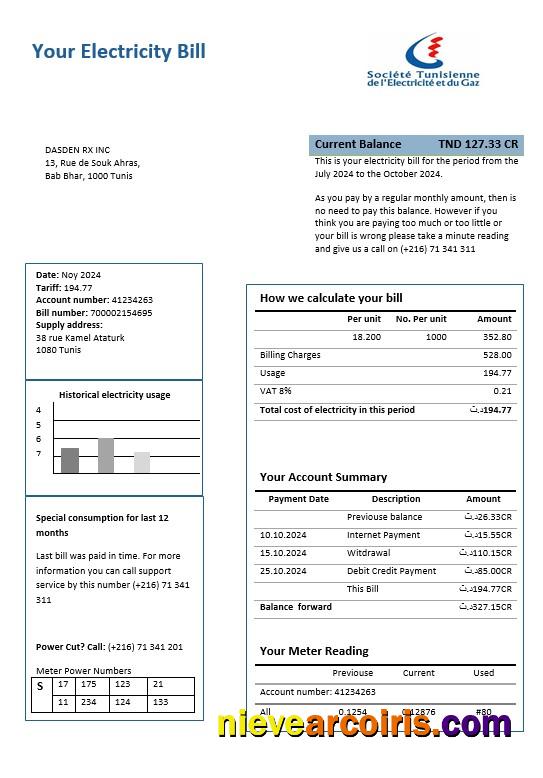 Premium Tunisia Electricity Proof Of Address Business Utility Bill Template In Word And PDF Formats