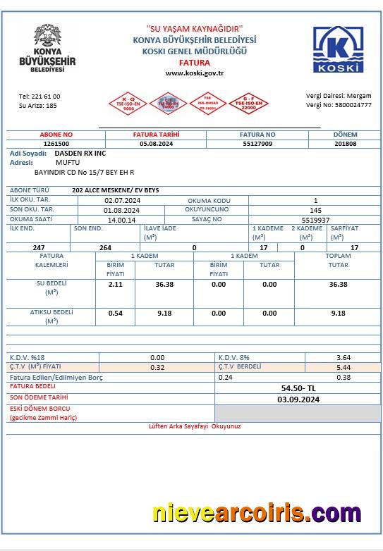 Realistic Turkey Water Business Utility Bill Template In Word And PDF Formats