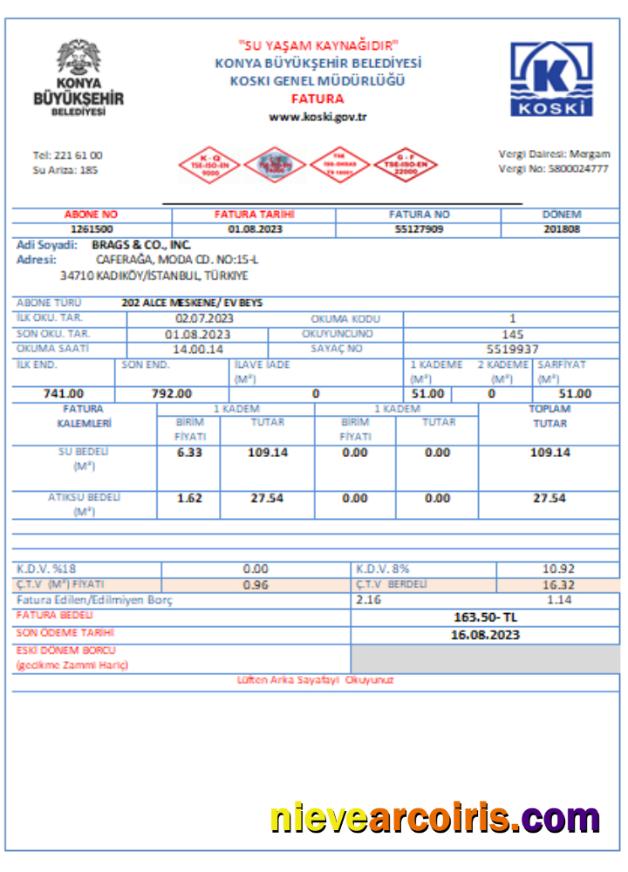 Turkey Water Utility Business Bill, SCR Template