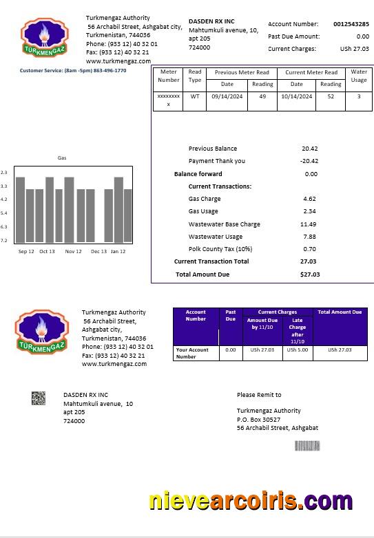 Professional Turkmenistan Turkmengaz Business Utility Bill Template In Word And PDF Formats