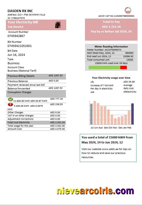 UAE Abu Dhabi Distribution Electricity Utility Bill Photolook