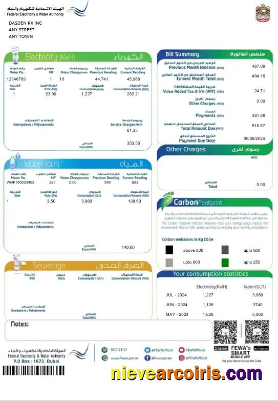 Realistic UAE Dubai Federal Electricity & Water Authority Business Utility Bill Word And PDF Template