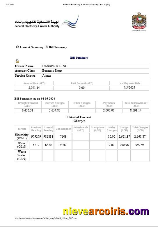 UAE Dubai Federal Electricity & Water Authority Electricity, Water Business Utility Bill Word And PDF Formats Photolook