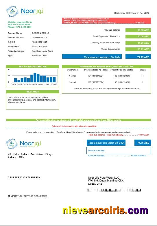 Professional UAE Noor Life Pure Water LLC Business Utility Bill Template In Word And PDF Formats