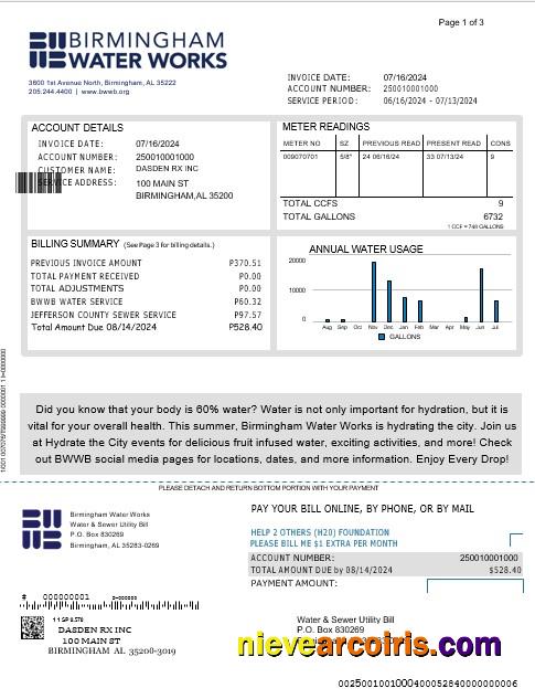 Professional UNITED KINGDOM BIRMINGHAM WATER Business Utility Bill Word And PDF Template 1