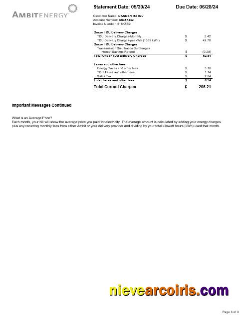 Premium USA Ambit Energy Business Utility Bill Word And PDF Template 3