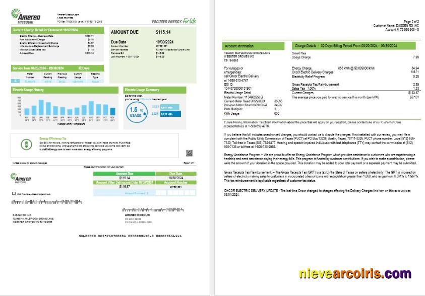 Realistic USA Ameren Missouri Electricity Business Utility Bill Template In Word And PDF Formats (2 Pages)