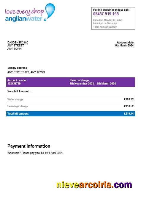 Professional USA Anglian Water Business Utility Bill Word And PDF Template