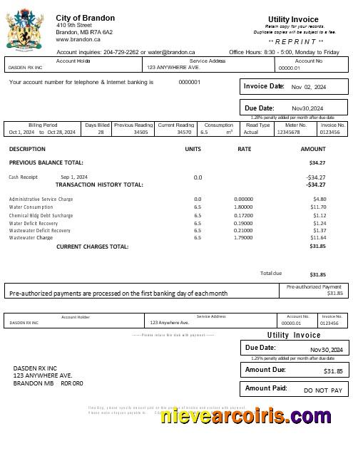 Premium USA BRANDON MISSISSIPPI Business Utility Bill Word And PDF Template