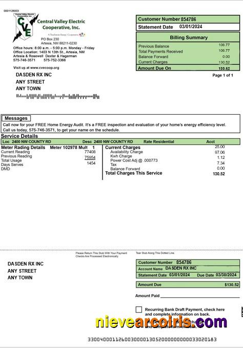 Editable USA CENTRAL VALLEY ELECTRIC Business Utility Bill Word And PDF Template
