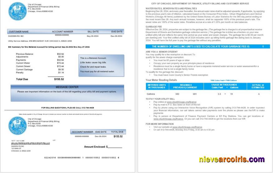 Editable USA CITY OF CHICAGO Business Utility Bill Word And PDF Template