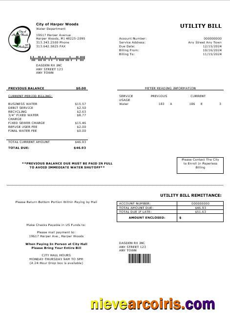 Premium USA CITY OF HARPER WOODS Business Utility Bill Word And PDF Template