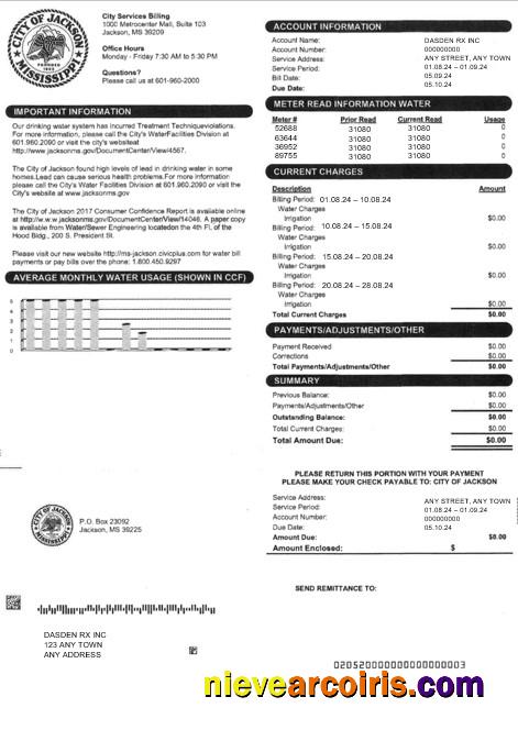 Premium USA CITY OF JACKSON Business Utility Bill Word And PDF Template