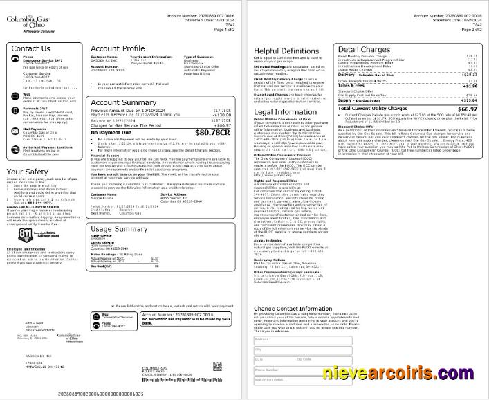 Professional USA COLUMBIA GAS OF OHIO Business Utility Bill Word And PDF Template