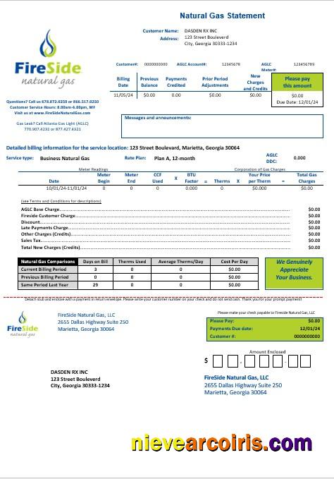 Premium USA California FireSide Natural Gas Busienss Utility Bill Template In Word And PDF Formats