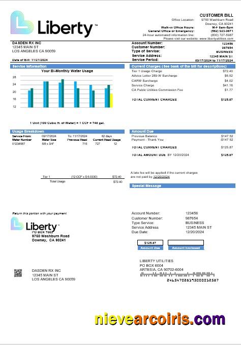 Premium USA California Liberty Utilities Business Utility Bill Template In Word And PDF Formats