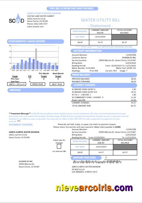 Editable USA California Santa Clarita Water Division (SCWD) Business Utility Bill Template In Word And PDF Formats