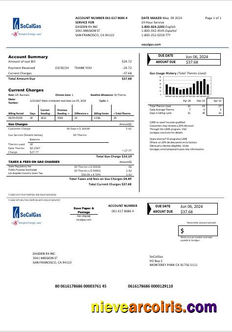 Professional USA California SoCal Gas Business Utility Bill Template In Word And PDF Formats