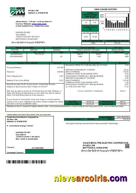 Premium USA Coles – Moultrie Business Utility Bill Template In Word And PDF Formats