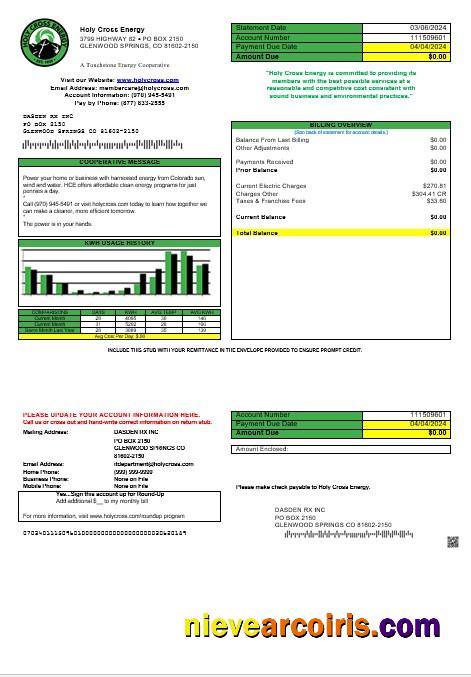 Editable USA Colorado Holy Cross Energy Business Utility Bill Template In Word And PDF Formats