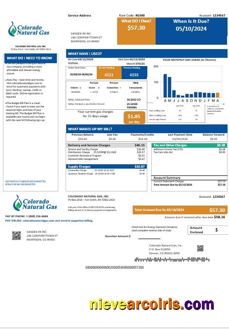 Realistic USA Colorado Natural Gas Business Utility Bill Template In Word And PDF Formats