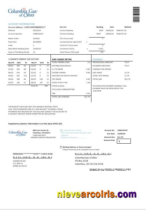 Editable USA Columbia Gas Of Ohio Business Utility Bill Template In Word And PDF Formats