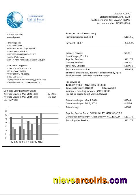 USA Connecticut Light & Power Electricity Business Utility Bill In Word And PDF Formats Template